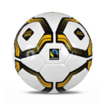 HAND STITCHED PRO TRAINER BALLS